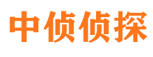 秦淮市调查公司